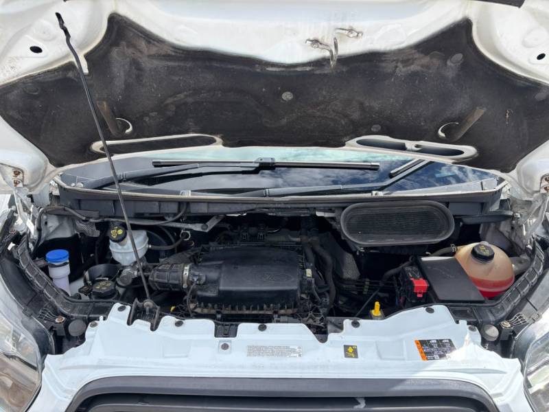 Ford Transit 2019 (19)